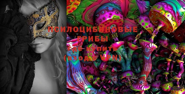 спайс Баксан