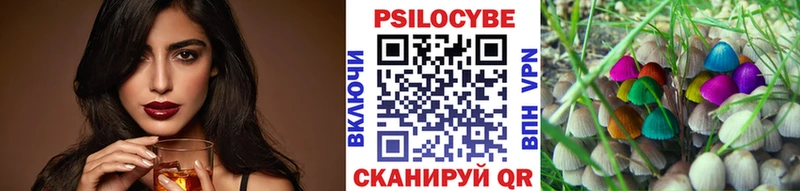 Галлюциногенные грибы Psilocybe  Навашино 